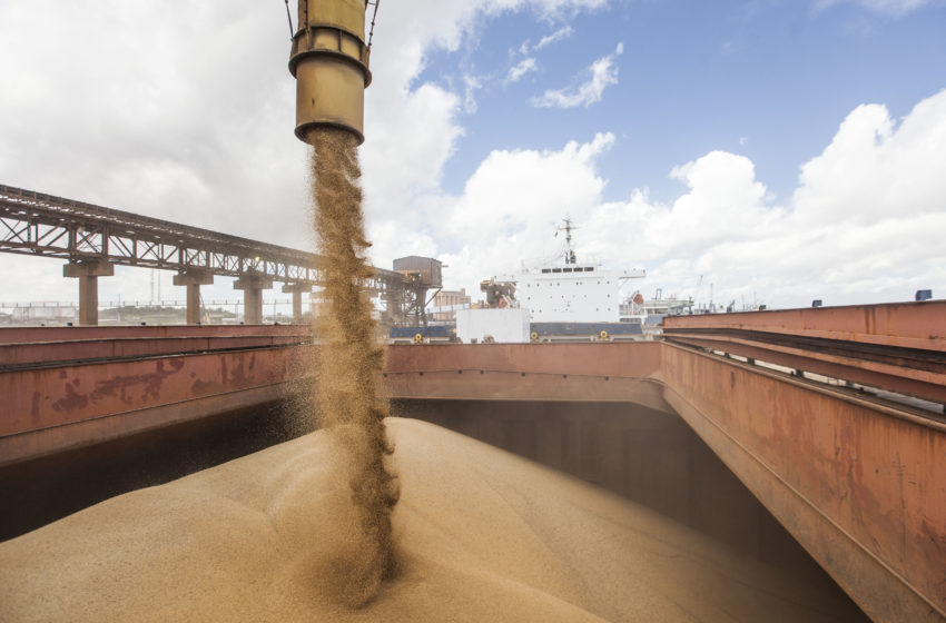 Agronegócio movimenta 25 milhões de toneladas por terminais conectados à FCA
