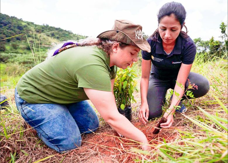  Jungheinrich: 2.800 árvores já foram plantadas em parceria com a Associação Ambientalista Copaíba