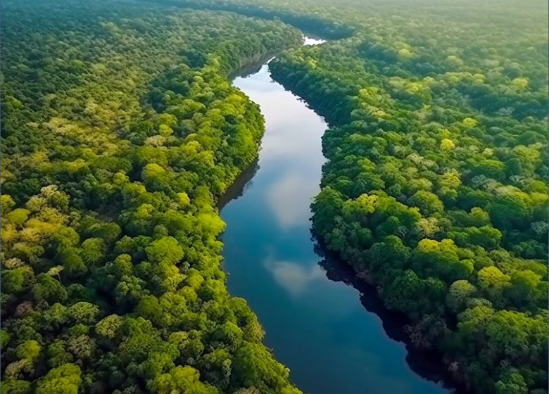  Aplicação reduzida de leis dobra emissões na Amazônia, diz ‘Nature’